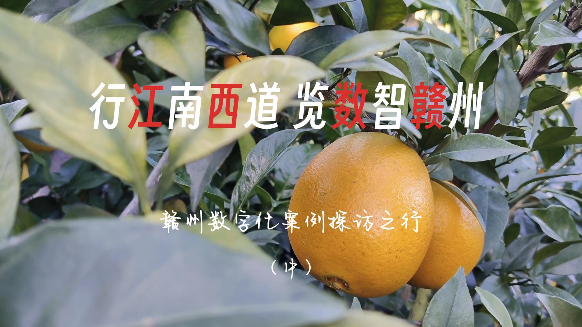 江西赣州数字化案例探访之行（中）